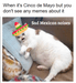 Cat meme